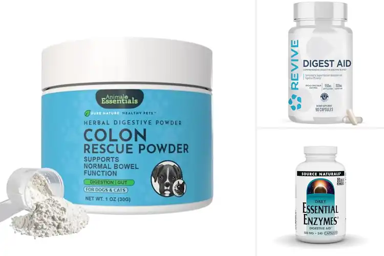 Detailed view of Best Herbal Digestive Aids for Light, Comfortable Digestion