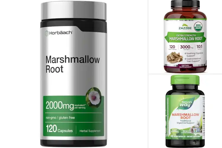 Detailed view of Best High Potency Marshmallow Root Capsules
