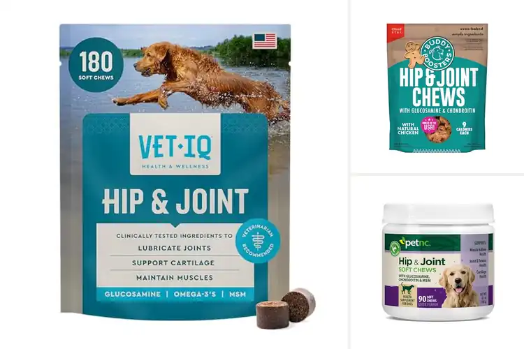Detailed view of Best Joint Support Dog Treats