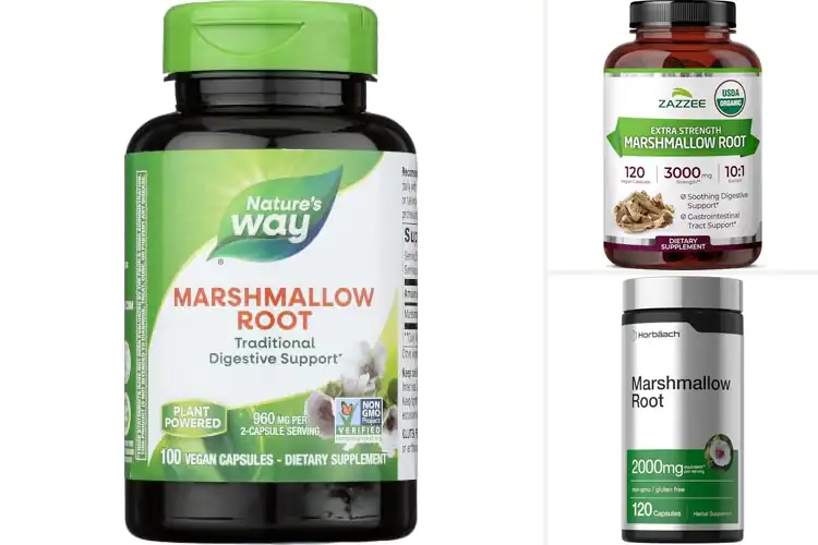Detailed view of Best Marshmallow Root Capsules