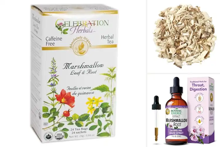 Detailed view of Best Marshmallow Root Herbal Remedies