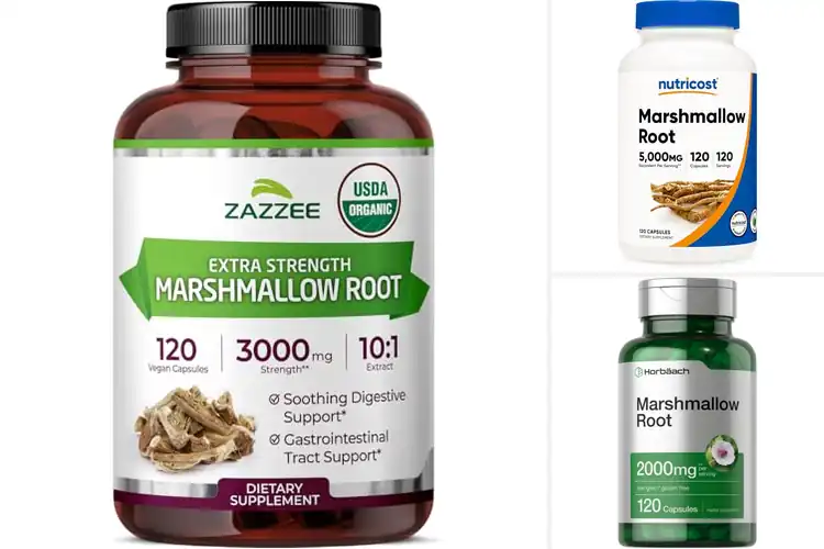 Detailed view of Best Marshmallow Root Supplements