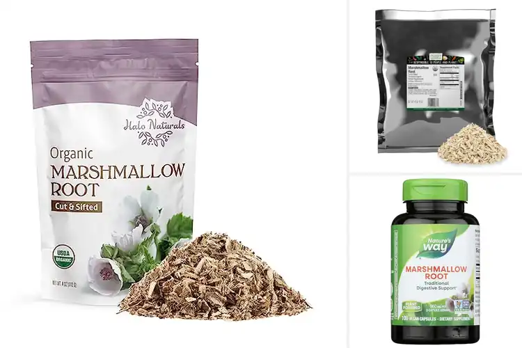 Detailed view of Best Marshmallow Roots
