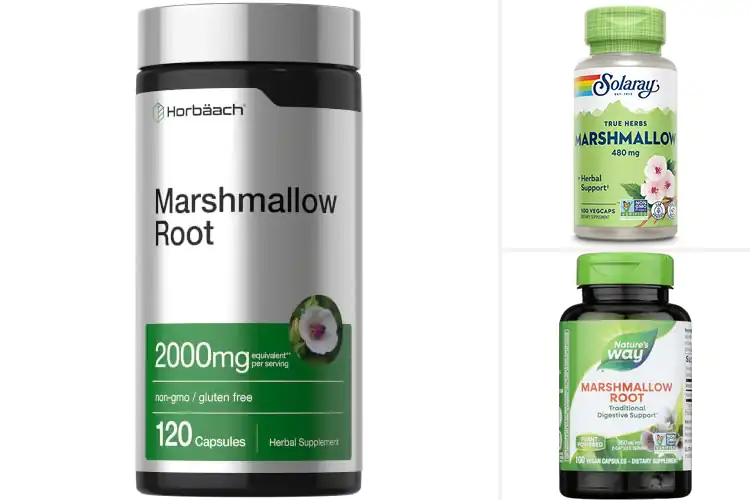 Detailed view of Best Non GMO Marshmallow Root Supplements