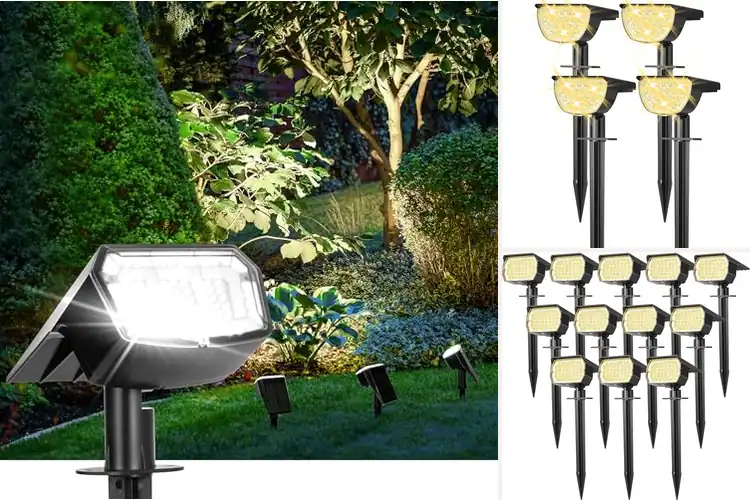 Detailed view of Best Solar Landscape Spotlights